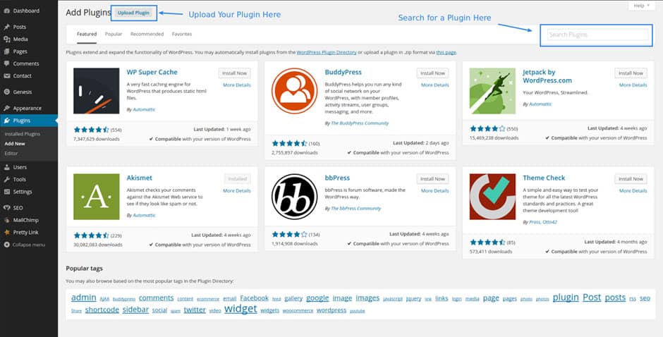 Using-Widgets-in-WordPress-Widgets-Plugins